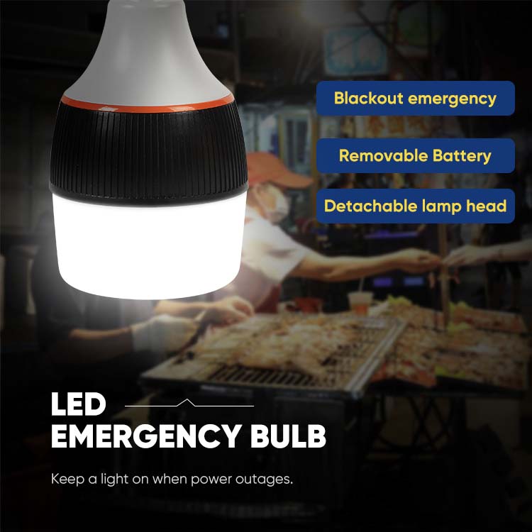 light bulbs rechargeable led